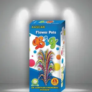 Flower Pots Big (10 Pcs)